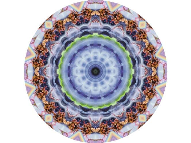 Kindred Spirits

Member News