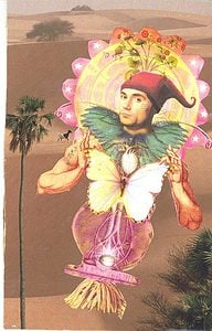barbhorn24_butterflyman-foolAT