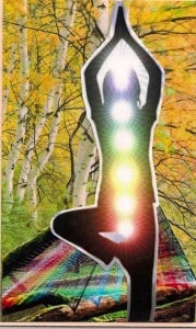 Chakras Card, by Christine in CA.