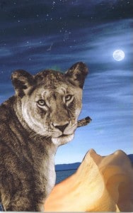 5th Chakra Lioness