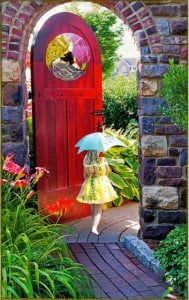 joy doors