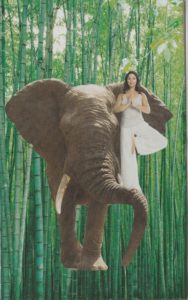 marci card 3