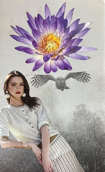 diane lampitt wisdom within feb zoom